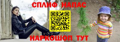 мдпв Бердск