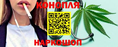 мдпв Бердск