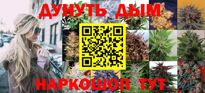 мдпв Бердск