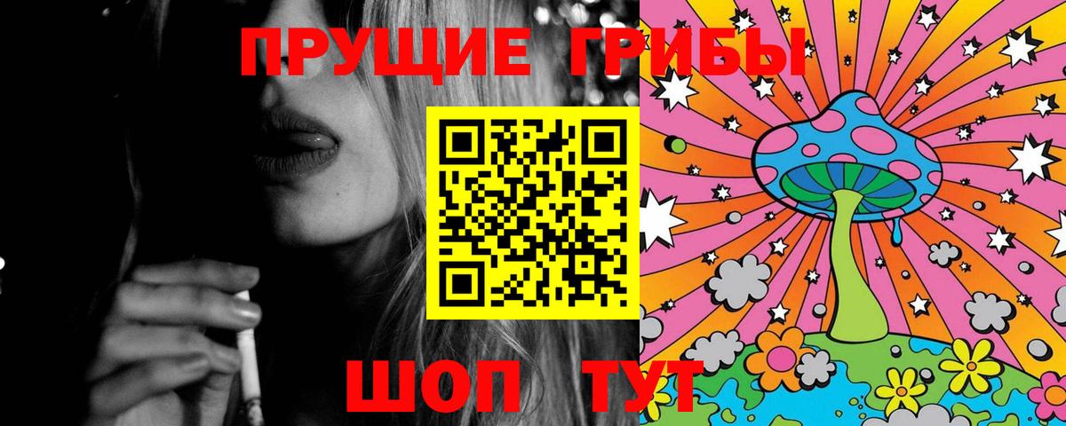 Псилоцибиновые грибы Psilocybe  как найти наркотики  Псилоцибиновые грибы Psilocybe  Рассказово  Вход с VPN 