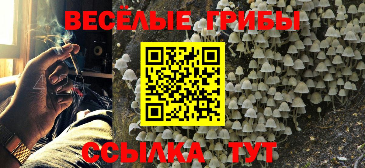 Псилоцибиновые грибы GOLDEN TEACHER Рассказово